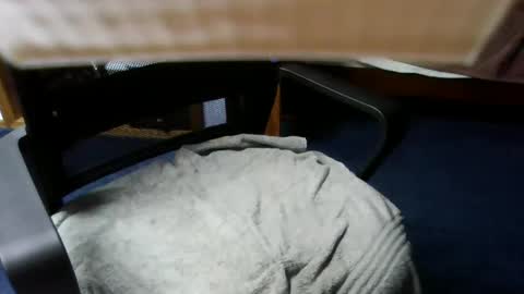 lovetolick272988 online show from October 21, 2:36 am