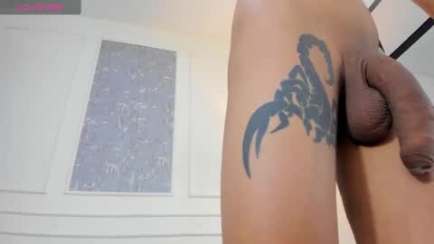 Snapshot of lucian_davi chatting on September 26, 4:54 am Pirulo online show from September 26, 4:54 am