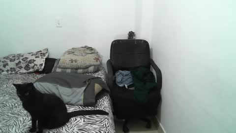 Snapshot of lucky_badboy chatting on January 10, 2:35 am Lucky online show from January 10, 2:35 am