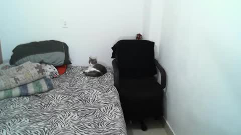 Snapshot of lucky_badboy chatting on February 5, 12:10 am Lucky online show from February 5, 12:10 am