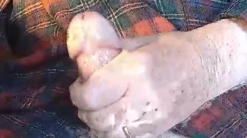 BIG Daddy cock. Tips make it harder  online show from May 22, 9:36 am
