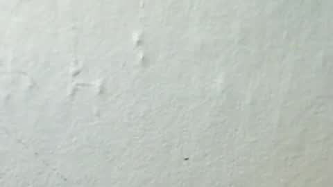 lukin8712 online show from February 8, 10:58 pm