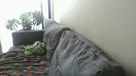 Snapshot of luzardol chatting on February 8, 6:12 pm luzardol online show from February 8, 6:12 pm
