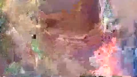 lvernon805 online show from January 14, 9:58 am