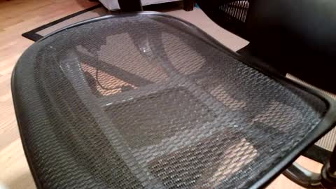 lvmkr6969 online show from January 1, 6:05 am