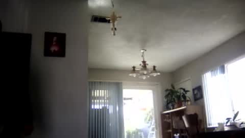 Snapshot of magdalena_805 chatting on February 7, 9:48 pm magdalena_805 online show from February 7, 9:48 pm