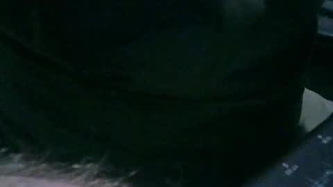 Maitai42 online show from December 14, 2:23 am