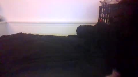 CommandbondageNipples bondage kink submissive lovense slave wgear. modequiethvyBondage If Password goldfish online show from October 20, 7:23 am