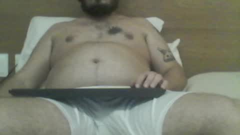 manatee bear online show from December 22, 2:31 am