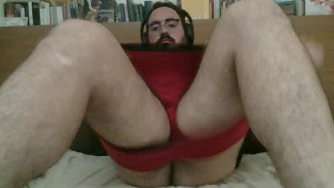 manatee bear online show from December 5, 1:35 am