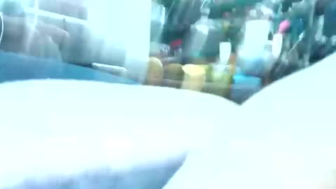 mandrilo7379 online show from February 1, 6:34 am