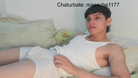 mapache1177 online show from April 3, 11:01 pm