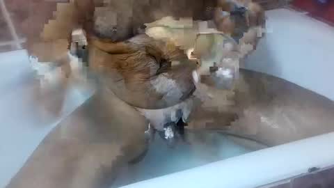 marian20242025 online show from October 8, 8:40 am