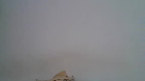 Snapshot of mariobrosss517470 chatting on December 18, 6:46 pm mariobrosss517470 online show from December 18, 6:46 pm