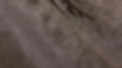 Celite244 online show from December 15, 2:52 am