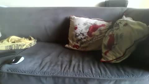 Master Fuckin Leo online show from June 17, 11:01 am