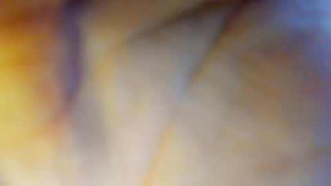 Jocker online show from June 21, 9:09 pm