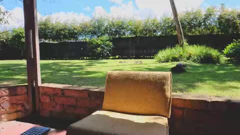 Matt Sweet online show from January 14, 3:38 pm