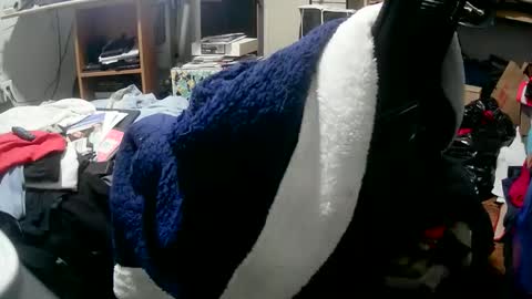 Matt online show from October 18, 2:49 am