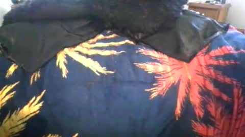 Max online show from March 6, 1:02 am