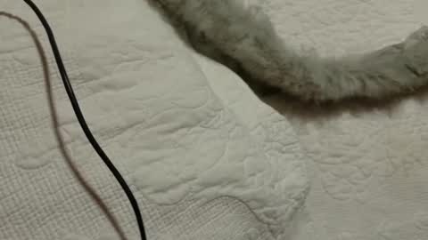 maxmia1986227777 online show from December 9, 5:56 pm