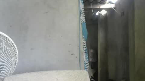 Mcgregor online show from April 18, 8:42 pm