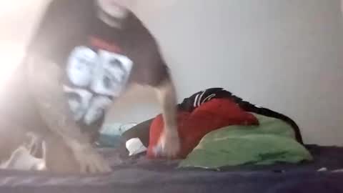 meesh808 online show from January 10, 7:57 am