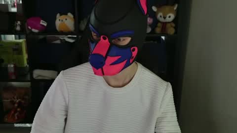 MellPUP online show from April 14, 11:59 pm