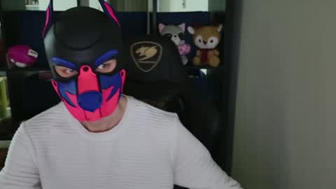 MellPUP online show from April 13, 9:37 pm