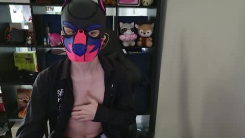 MellPUP online show from April 1, 4:26 pm