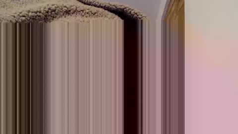 Mauro online show from February 15, 11:38 pm