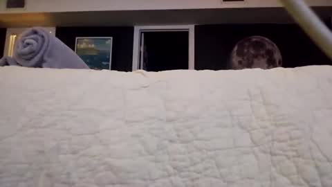 methorny online show from March 29, 6:02 am