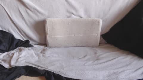 Michael online show from March 13, 1:30 pm