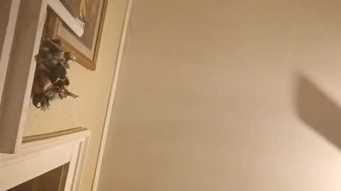 michaelamartinez583 online show from December 22, 4:20 am