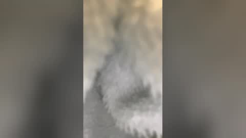 mig26472 online show from February 15, 5:02 am