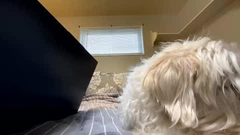 mik138 online show from December 3, 9:21 pm