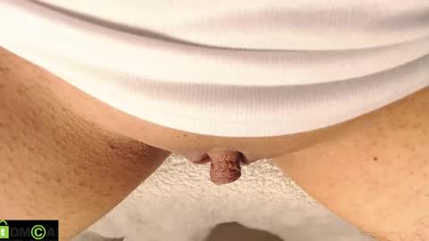 Mikell Williams online show from February 19, 7:05 pm