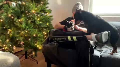 milo_uncensored online show from January 6, 7:07 pm