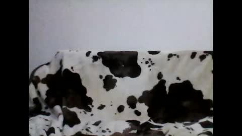 milojkolud online show from February 19, 1:18 am