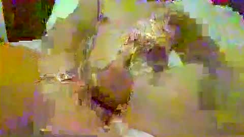 Mister Rite Now online show from February 9, 2:22 pm