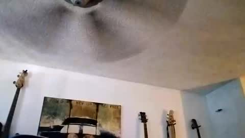Snapshot of mitchnails69 chatting on September 14, 6:21 pm BobbyMitchGa online show from September 14, 6:21 pm