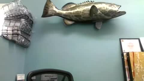 mjd666 online show from November 4, 8:10 pm