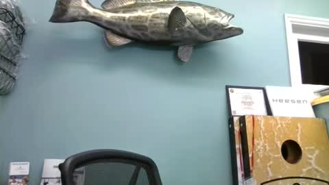 mjd666 online show from November 3, 7:59 pm