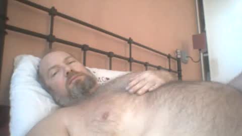 Snapshot of mofu781s chatting on December 11, 8:16 am mofu781s online show from December 11, 8:16 am