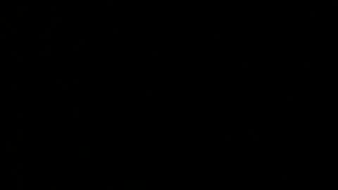 moggy39 online show from February 20, 10:37 pm