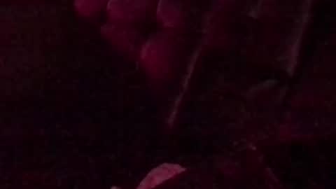 montydxxx2 online show from September 14, 3:08 am