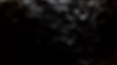 Snapshot of moonlines chatting on September 8, 11:04 pm BouncyBoner online show from September 8, 11:04 pm