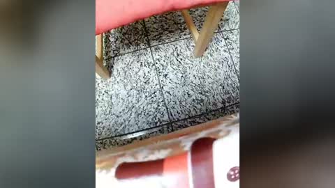 moos1 online show from April 25, 5:43 am