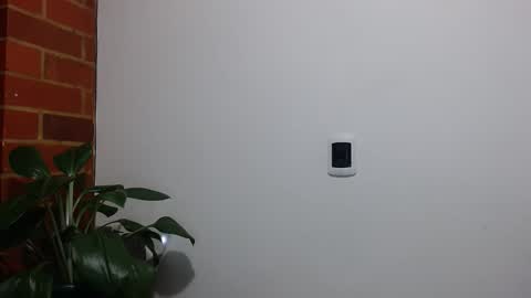 Abelardo online show from April 20, 4:15 am