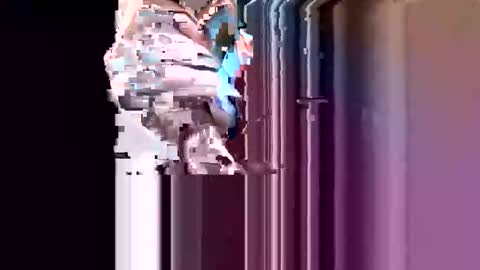 motorctyass online show from January 9, 2:11 pm